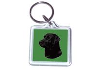 Labrador schwarz 020nl Schlüsselanhänger -