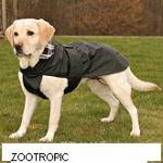 Dogcoats,Dogclothes