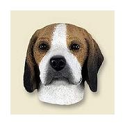 Dog magnets Beagle