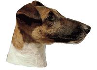 Foxterrier släthår huvud