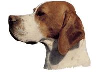 Pointer