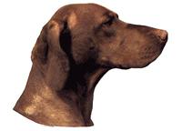 ungersk vizla132T