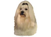 Malteser