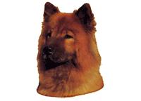 Eurasier