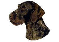 German wireh. Pointer230T