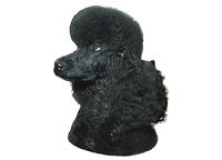 Pudel  svart huvud235T