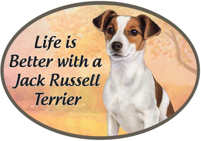 Jack russell nagnet