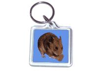 Hamster400nl nyckelring classic