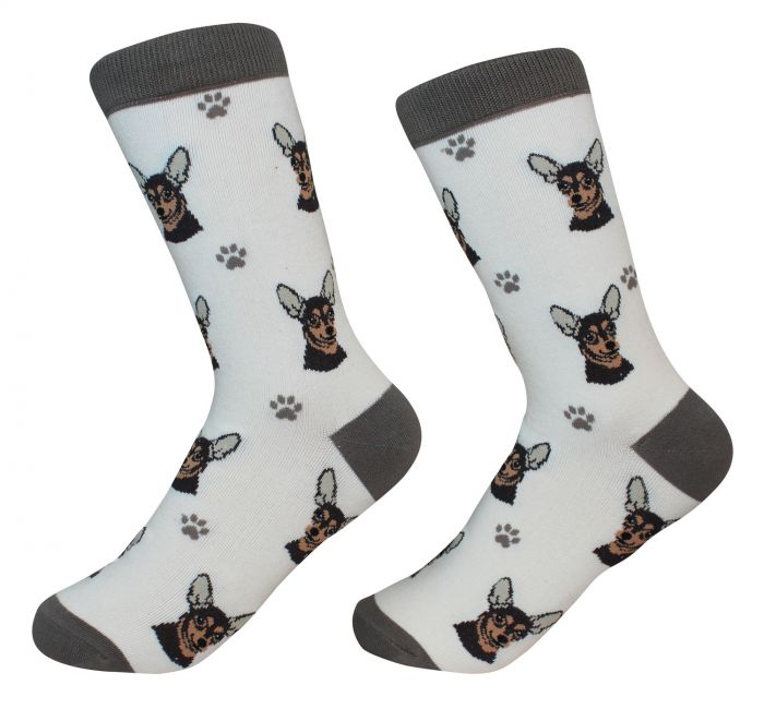 Chihuahua sort sokker