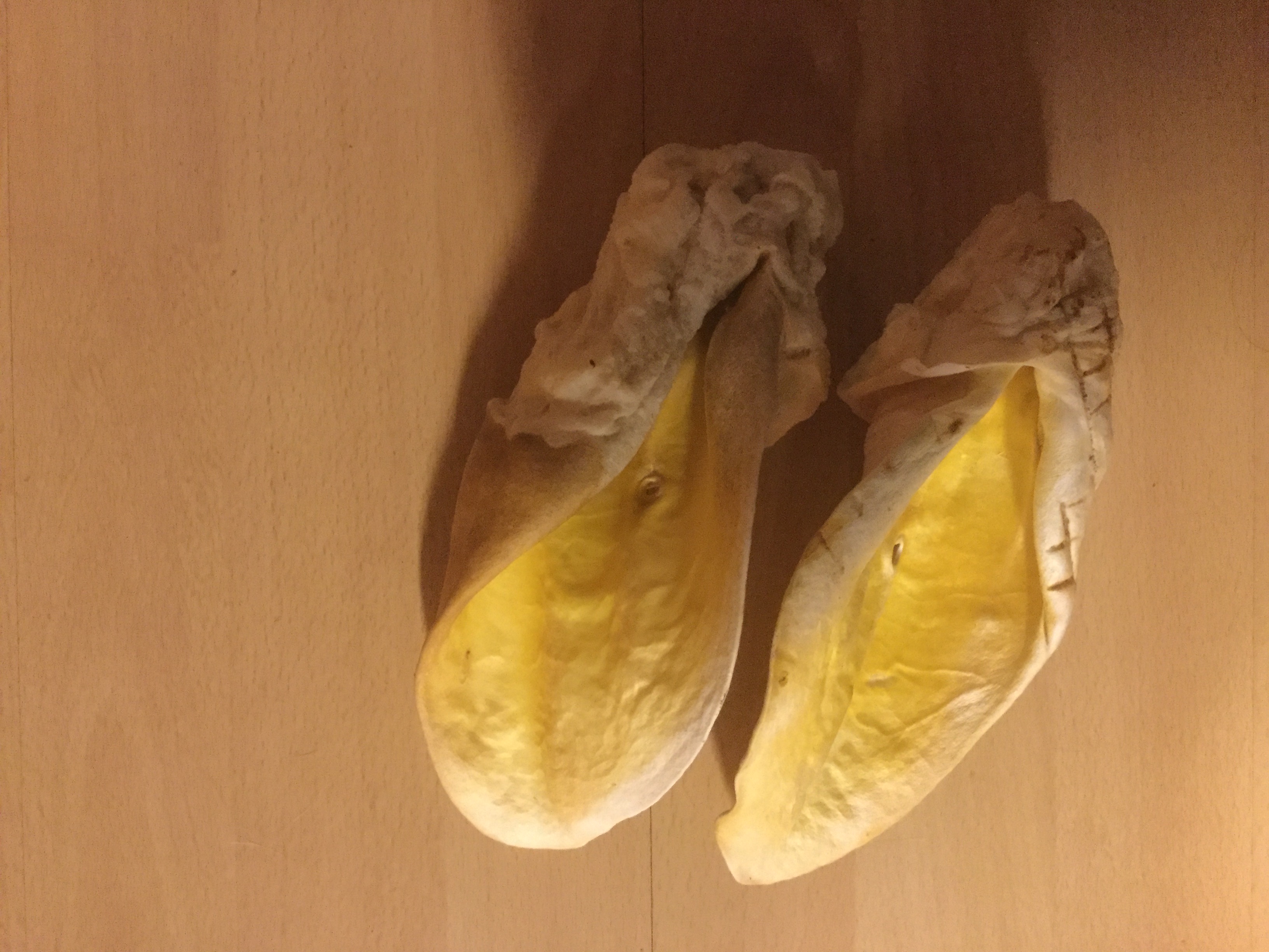 Oxöron vita med muskel