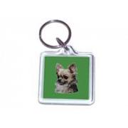 Chihuahua longcoat 032nl keyrings classic