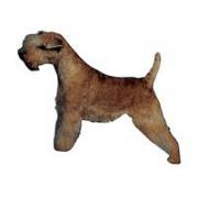 Lakeland Terrier