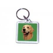 Golden retriever fawn  212nl keyrings classic