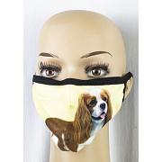 Cavalier  King Charles Spaniel munskydd