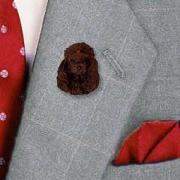 Poodle Chocolate Pin