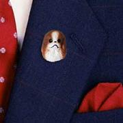 Japanese Chin Brown & White Pin