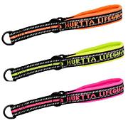 Lifeguard reflective collar