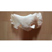 Oxtryne vita 700gr