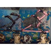 Tx4190 Kitty-set