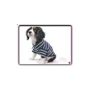 Dog tshirt seaman